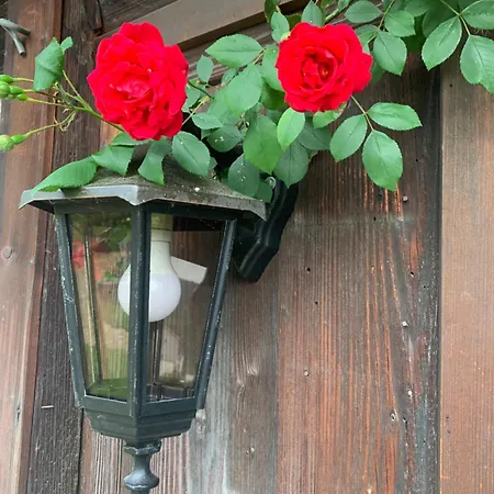 Private In Historic Rosalie * Brunnadern