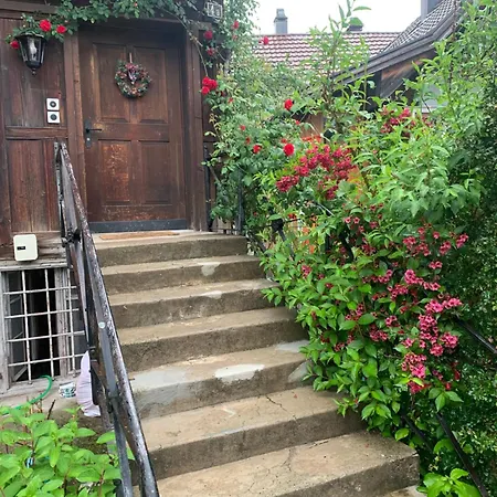 Private Apartment Mit Garten
