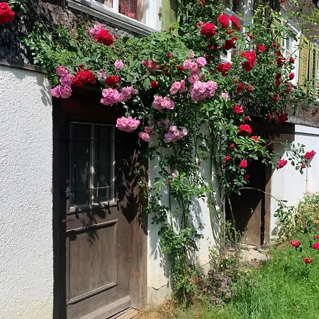 Apartment Private Apartment Mit Garten *