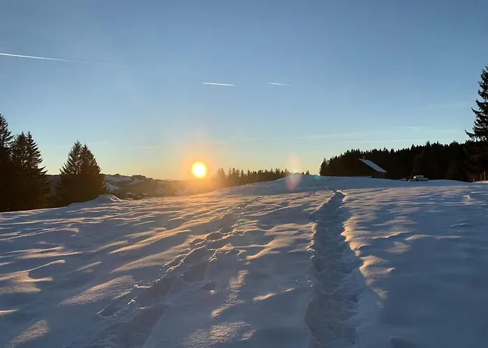 Private In Rosalie Apartment Brunnadern