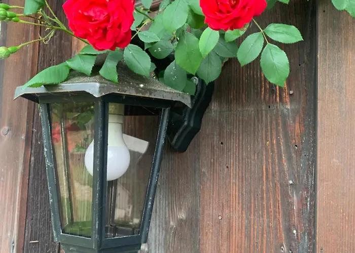 Private In Rosalie * Brunnadern