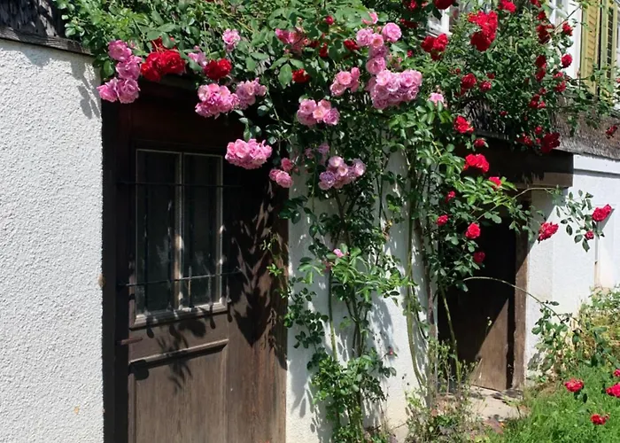 Apartment Private In Rosalie *